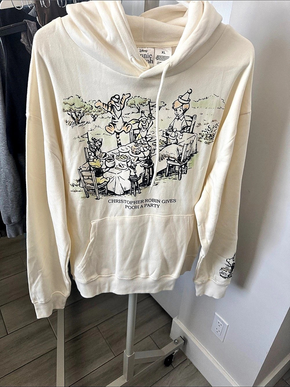 Disney Winnie the Pooh Christopher Robin Gives Pooh a Party Graphic Hoodie XL